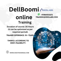 Dell Boomi Training  IDESTRAININGS