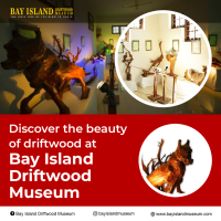 Museums in Kottayam  Bay Island Driftwood Museum