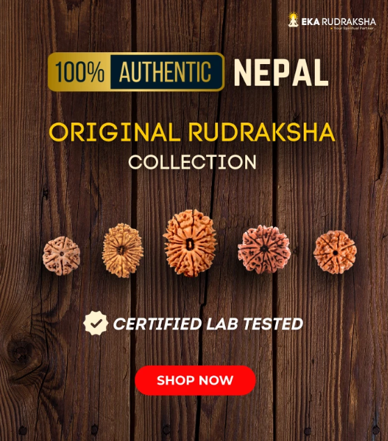 Buy Original  Certified Rudraksha Online  Mala Bracelet Gauri Shan